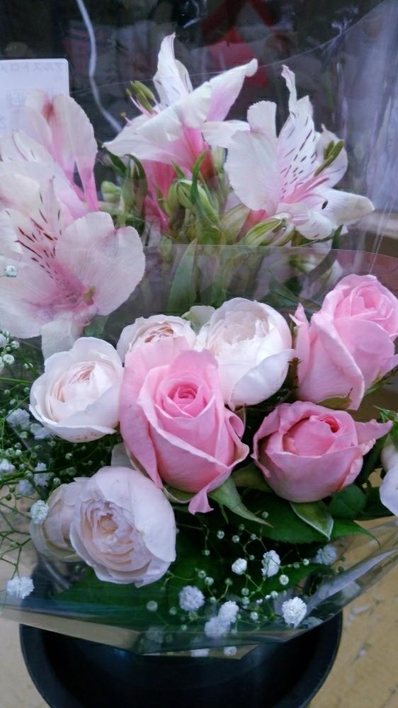 の画像 by 学808さん | アルストロメリアと薔薇
