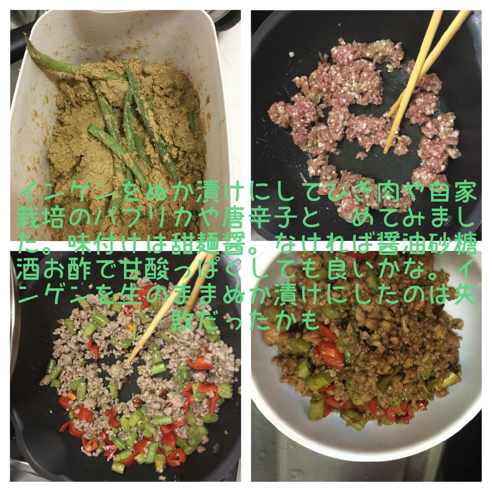 キッチンの画像 by マブさんさん | キッチンとインゲンとパプリカと自家栽培の野菜料理と家庭菜園奮闘日記と家庭菜園
