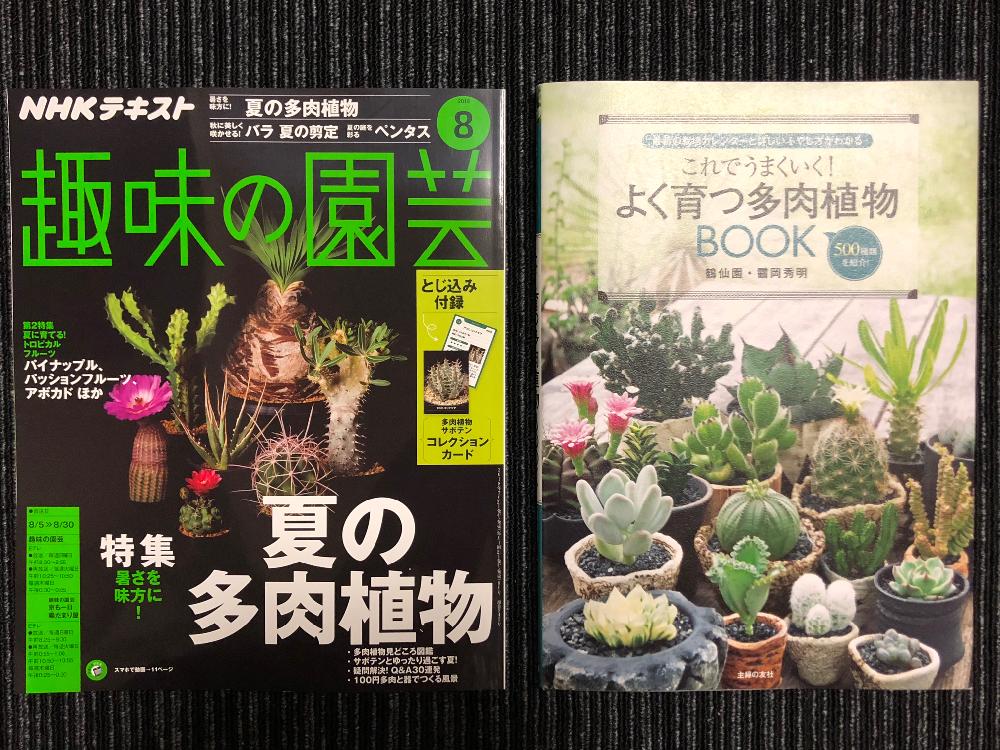 バルコニー/ベランダの画像 by shiiiiiさん | バルコニー/ベランダと植物雑誌と黒プラ鉢と雑誌と黒プラ鉢ある生活とシーゾルとプラ鉢と植欲と植中毒と塊根植物とタニラーと秘薬と植物欲と栃木県民とバルコニスト