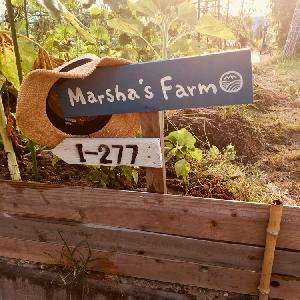 Marsha's Farm
