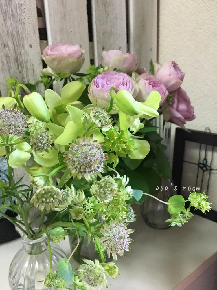 部屋の画像 by あやぽんさん | 部屋とアストランティアと『私に花を、暮らしに華を』コンテストとgerasプチDIYと花のある暮らしとmyfavoriteとgerasアレンジとあやのへや