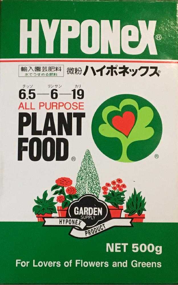 小さな庭の画像 by 『薔薇の初心者教室』〜素敵にガーデニングライフ〜さん | 小さな庭とハイポネックスと薔薇のお手入れと新米ロザリアンとハイポネックス微粉肥料と無農薬と夏バテさせない工夫と薔薇の初心者教室とバラ・ミニバラとロザリアンと微粉ハイポネックス