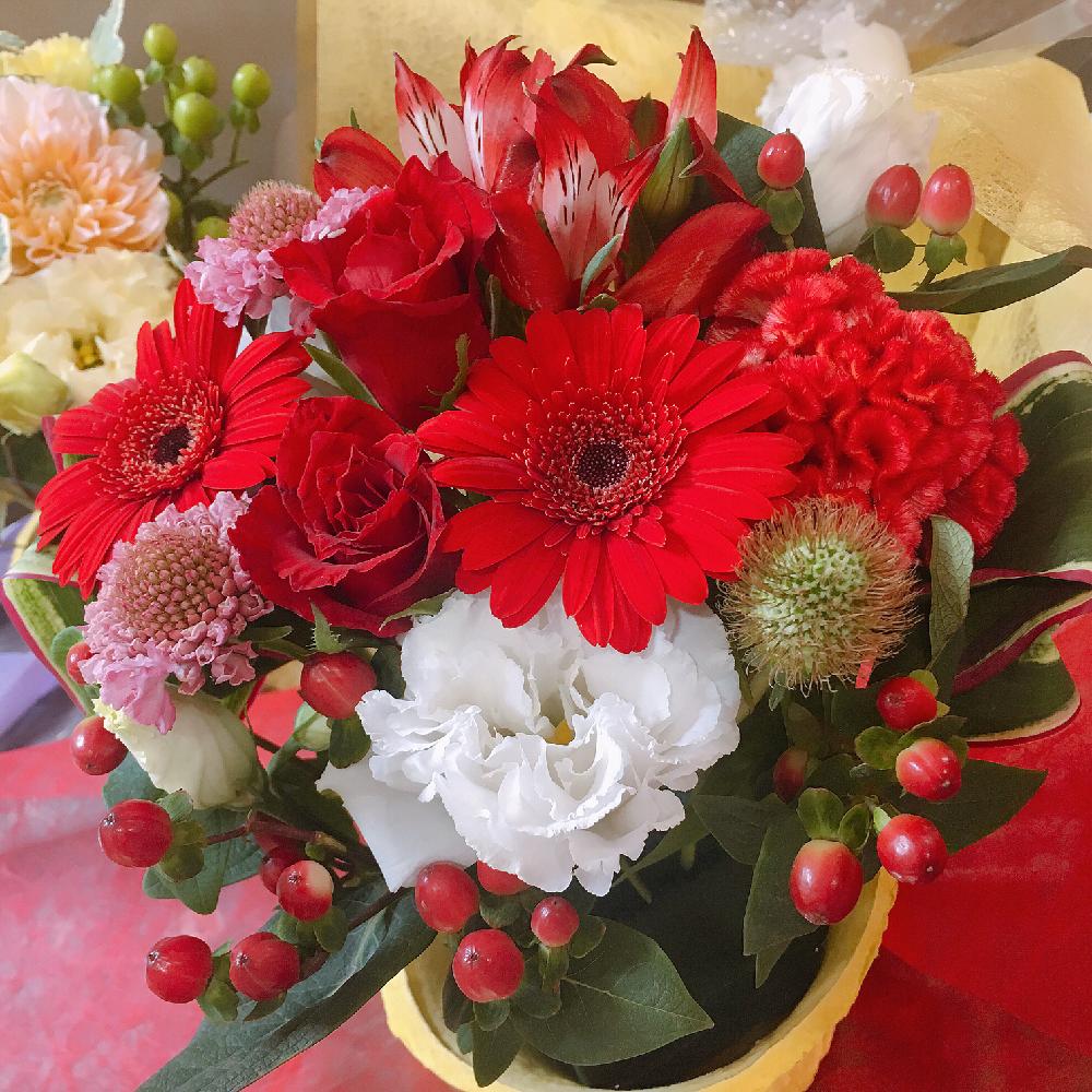 の画像 by まっさん | スカビオサとアルストロメリアとケイトウとばら バラ 薔薇とGS映えとGS日和とブーケとフラワーアレンジメントと可愛いと花のある暮らしと ガーベラ
