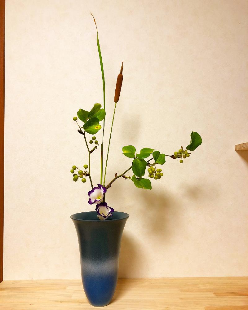 の画像 by やぁさん | サンキライとヒメガマとトルコキキョウと初心者と生花といけばなと花のある暮らしと生け花