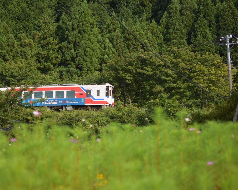 畑の画像 by 銀月さん | 畑とコスモスと岩手県とコスモス畑と植中毒と植物と鉄道写真と花のある暮らし