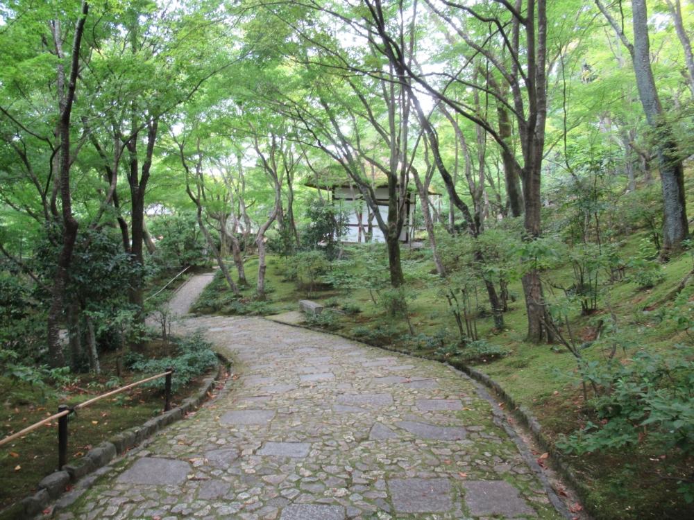 お出かけ先の画像 by nagoさん | お出かけ先と苔(コケ)とネコ好きと青もみじと常寂光寺と京都の寺院と嵐山