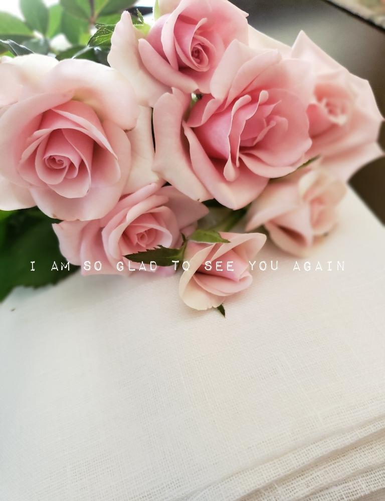 キッチンの画像 by hanamizukiさん | キッチンとセイレーンとばら バラ 薔薇と花のある暮らしと薔薇♪とバラ・ミニバラと薔薇あど