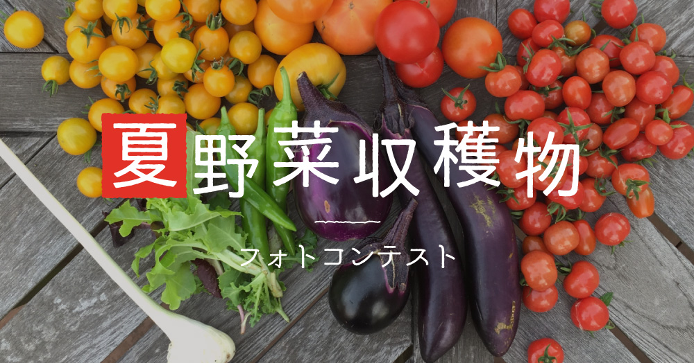 夏野菜収穫物フォトコンテスト