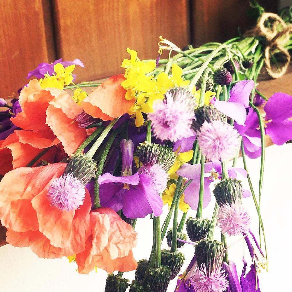 棚の画像 by つきゆずさん | 棚と野の花と野アザミの花とナチュラルインテリアと野の花ブーケと野草ブーケと癒し…♡と野の花あそび