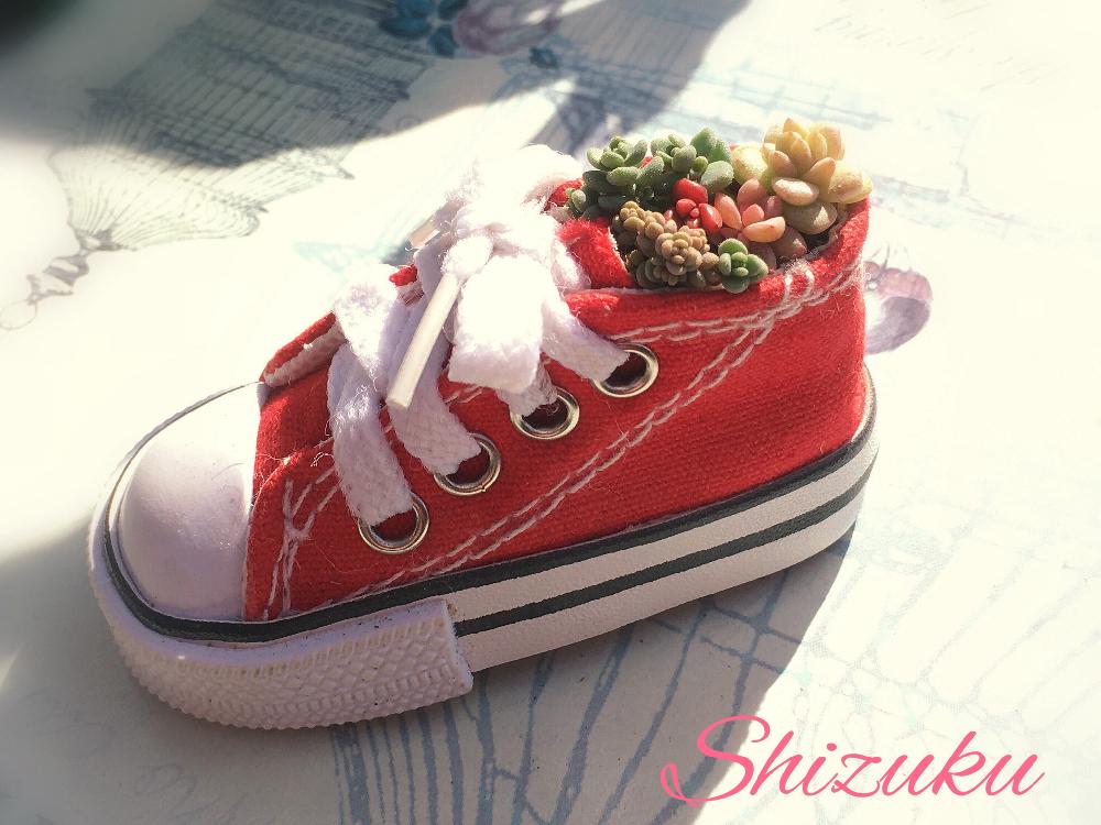 小さな庭の画像 by Jun♡Junさん | 小さな庭とちまちま 寄せと私の癒し♡と植物からパワー❣️とダイソーのキーホルダー❣️とえっこさん応援してますと西日本豪雨で被災された皆様頑張ってと北の大地北海道と庭のある暮らしと花のある暮らしと夫婦で庭創り♡と記録用と小さいのが好きとHTC 64
