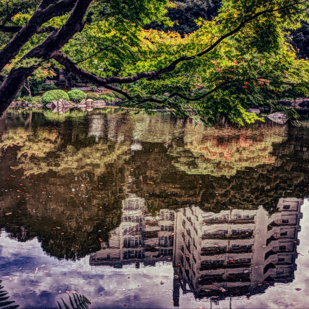 お出かけ先の画像 by apricot53さん | お出かけ先とモミジと植物のある暮らしと日本庭園と庭師と秋の気配と庭木と庭園と庭仕事とガーデニングとお散歩と生垣