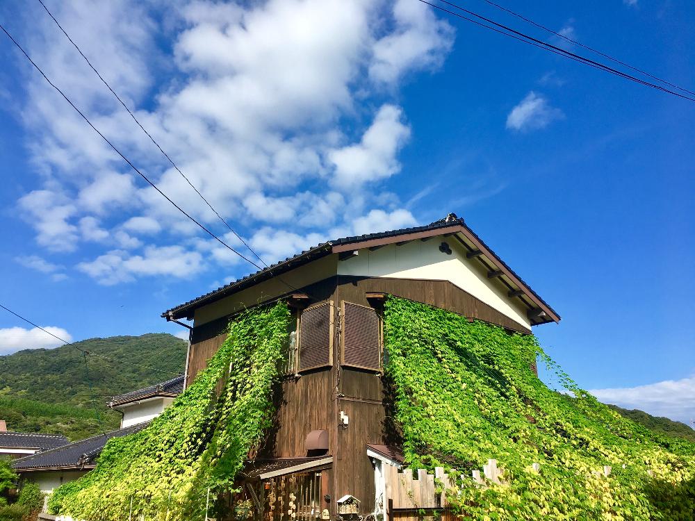 小さな庭の画像 by hiromi【My garden ~resuscitation~】さん | 小さな庭とオキナワスズメウリと可愛い実と緑のトンネルとグリーントンネルとグリーン!グリーン!グリーン!と琉球おもちゃうりと『コーデックス』コンテストと緑のカーテンとGS映えとGS日和とグリーングリーン♪と庭の植物とグリーンカーテンとオキナワスズメウリ☆とお庭の植物とオキナワスズメウリ屋敷とちゅらうり
