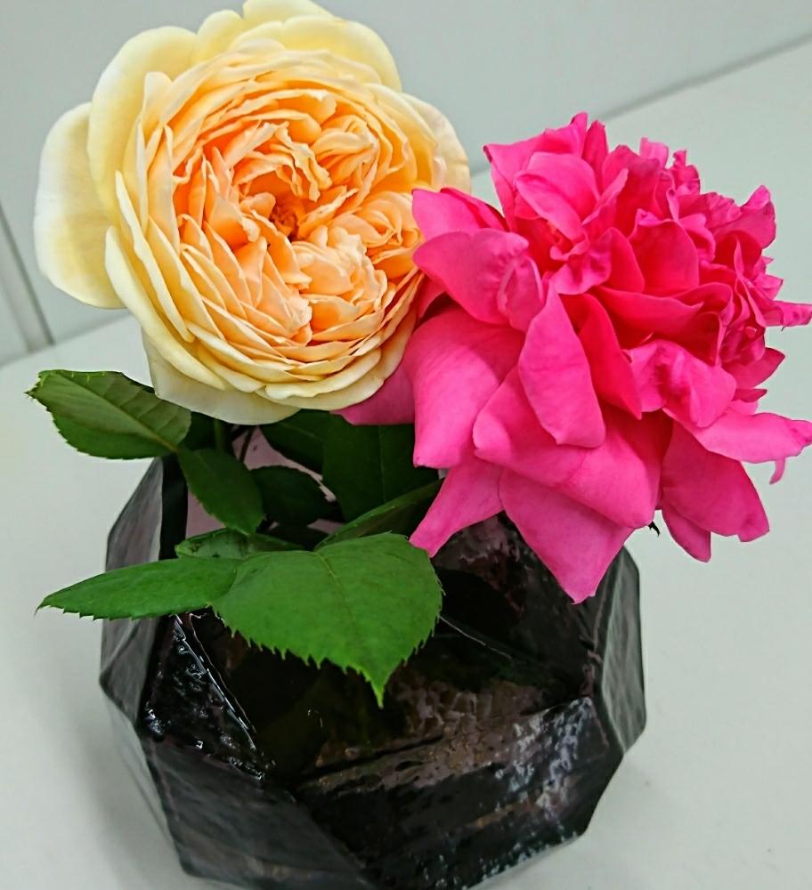 デスクの画像 by さば*さん | デスクとバラクラウンプリンセスマルガリータと無修正❤️とばら バラ 薔薇と薔薇愛同盟とつるバラとバラ好きとイングリッシュ・ローズとバラ パレードと花のある暮らしと薔薇♪とバラ・ミニバラ