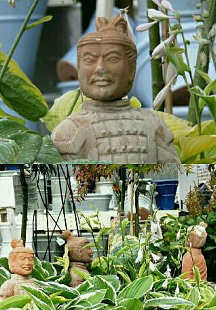 お出かけ先の画像 by ⭐CB1⭐さん | お出かけ先とGS映えとfrom British Gentle?manと昔撮ったpicと植物と言えば・・・とエクステリア・・・