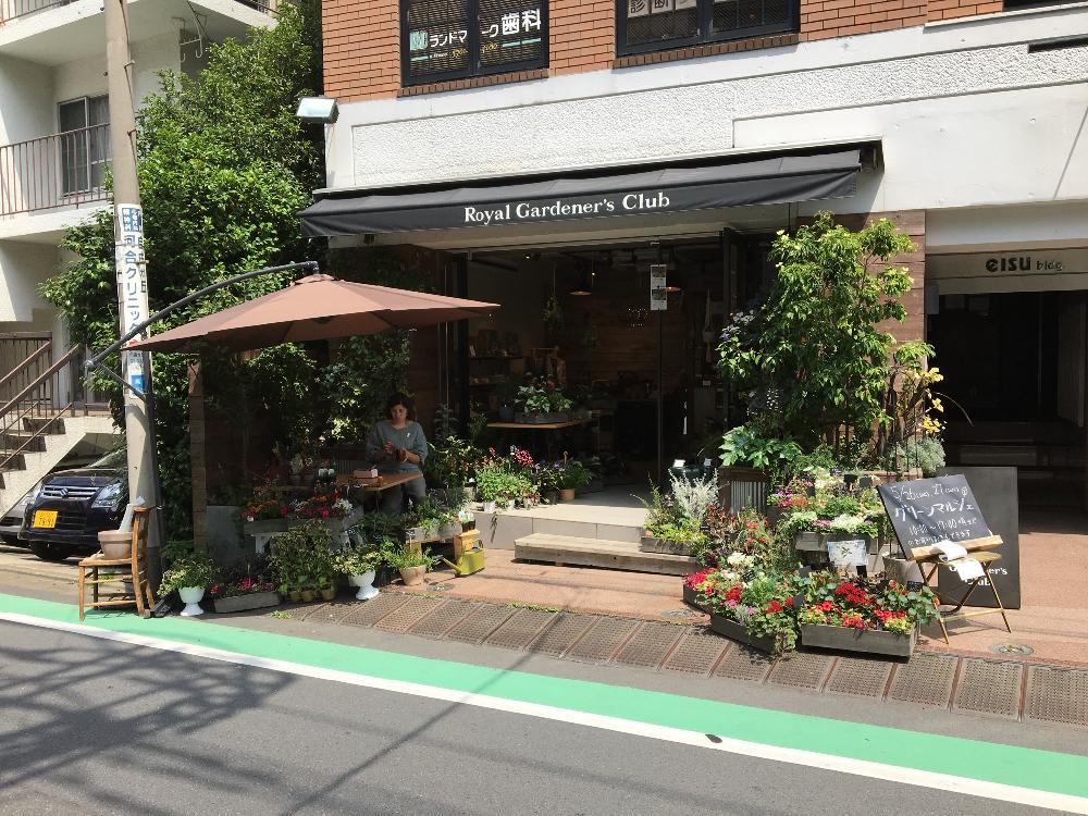 の画像 by Royal Gardener's Clubさん | ヒヤシンスの水耕栽培と観葉植物と植物のある暮らしとボタニカルライフと園芸店とベランダガーデニングとガーデニングショップと チューリップと緑のある暮らしと球根と秋植え球根とガーデニングツールとフラワーアレンジメントとガーデニングと花のある暮らしと奥沢と植木鉢と自由が丘とインテリアグリーンとグリーン