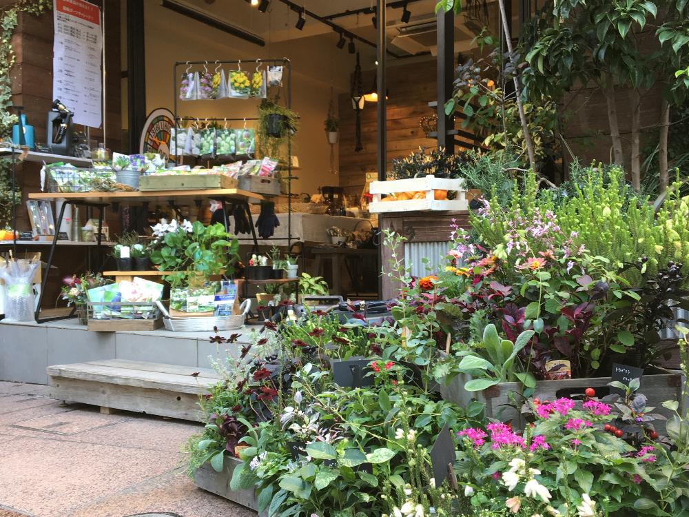 の画像 by Royal Gardener's Clubさん | 植物のある暮らしとボタニカルライフと園芸店とベランダガーデニングとガーデニングショップと チューリップと緑のある暮らしと球根と流木と秋植え球根とガーデニングツールとフラワーアレンジメントとガーデニングと花のある暮らしと家庭菜園奮闘日記と植木鉢と自由が丘とインテリアグリーンとグリーンとバルコニスト
