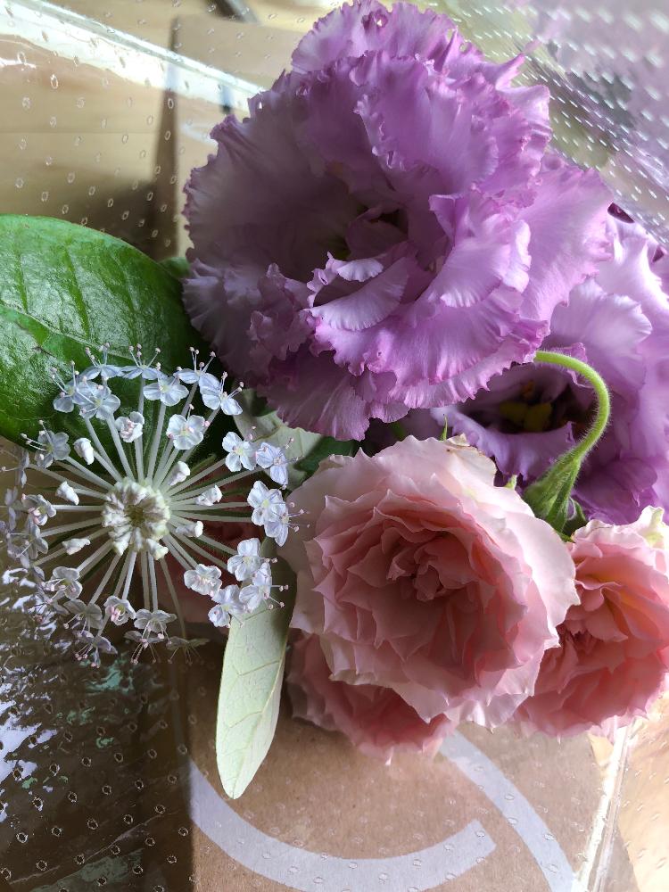 部屋の画像 by yurianさん | 部屋とモニター当選とmedeluとお花の定期便とGS映えと植中毒と花のある暮らしとお花のある生活