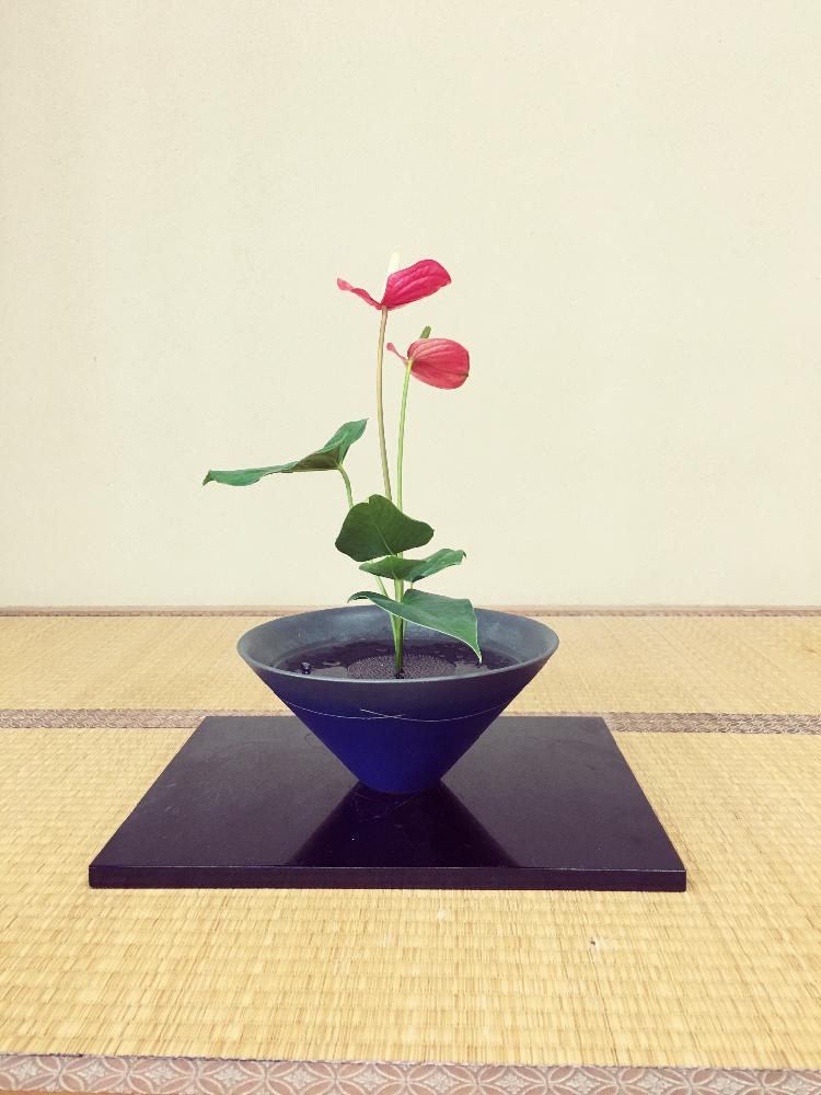 和室の画像 by ともさん | 和室とアンスリウムと花のある暮らしといけばなと池坊と生花
