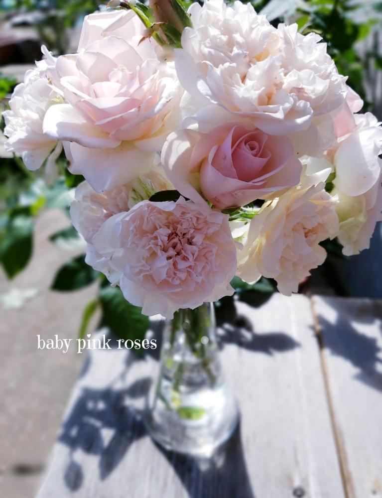 の画像 by hanamizukiさん | クロッシェとセイレーンと器とお花のフォトコンテスト2018とバラ・ミニバラと薔薇♪と秋バラ