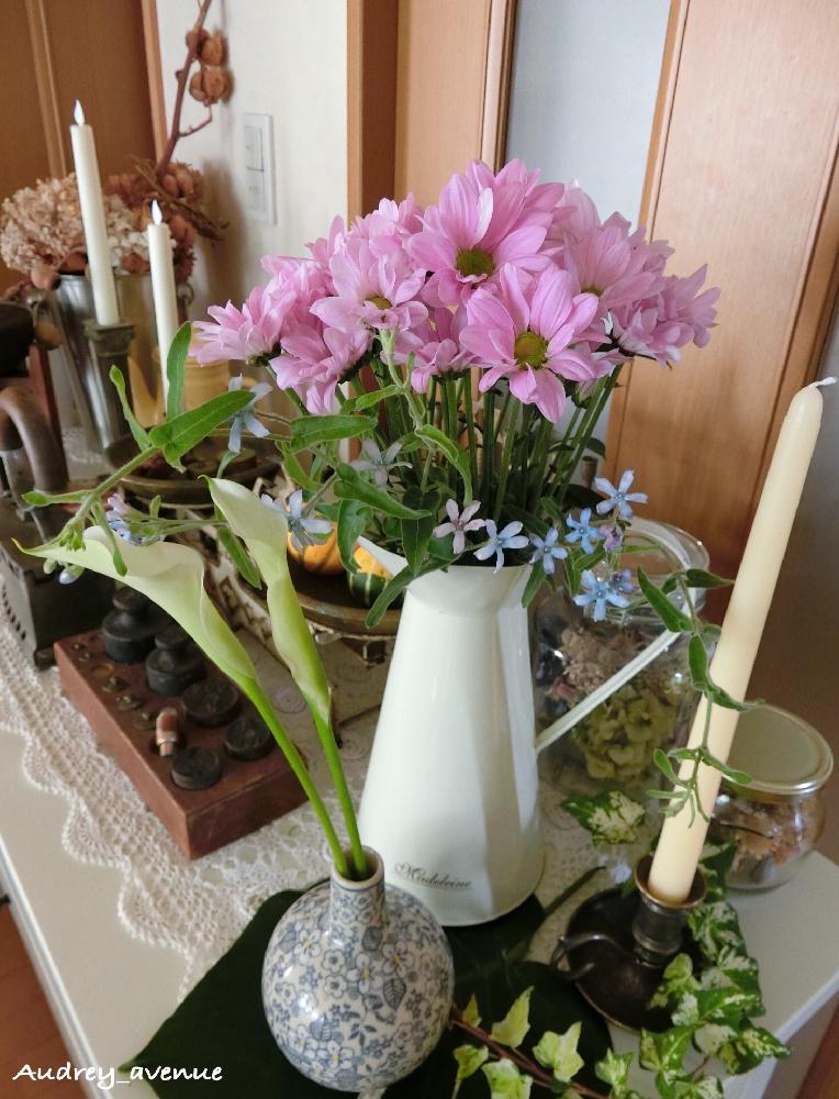 部屋の画像 by Audreyさん | 部屋とマムとブルースターとカラーとアイビーとポーランド食器とmedelu flowerと器とお花のフォトコンテスト2018とWEEKEND FLOWERと葉っぱ好き♡とアンティーク雑貨とアンティークとお気に入り♡と今日の一枚と雑貨好き♡とナチュラルスタイルとフラワーアレンジメントと12月生まれ♪と花のある暮らしと大人かわいい♪と『秋を感じる』フォトコンテスト