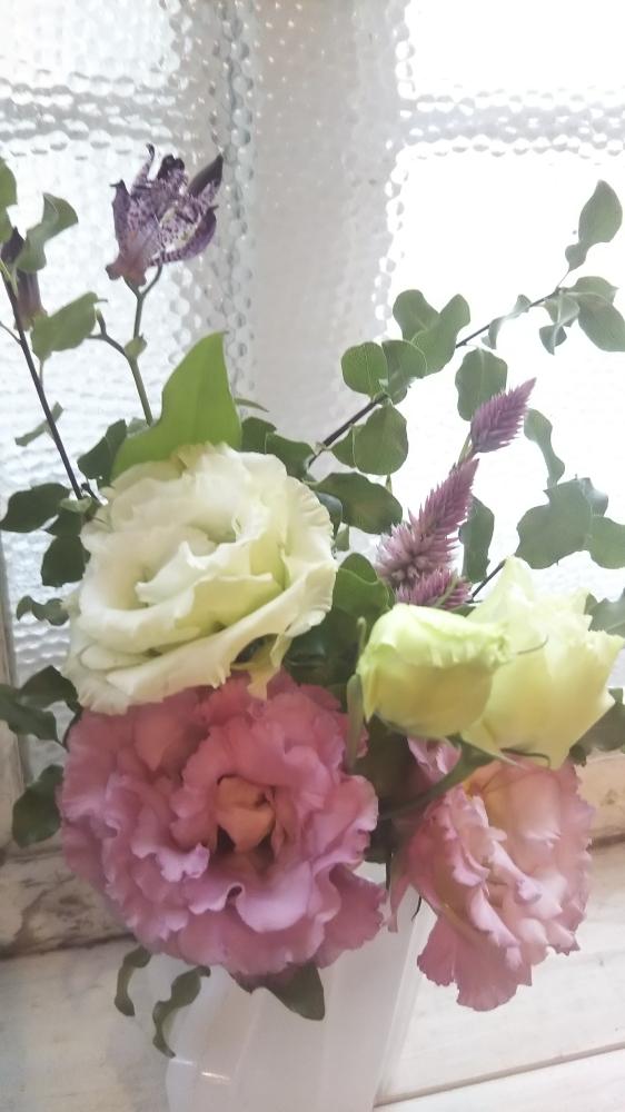 窓辺の画像 by ☺tonkichi☺さん | 窓辺とやさしい時間と器とお花のフォトコンテスト2018とモニター当選とキラキラ✨とようこそわが家へ❤︎とグリーンのある暮らしとありがとう❤️とお気に入り♡と大好きだよ〜♡とmedeluとお花の定期便とごっこ遊び☘️と大切にするよ♡とウェルカムフラワーとナチュラルスタイルとフラワーアレンジメントと癒し…♡と花のある暮らし