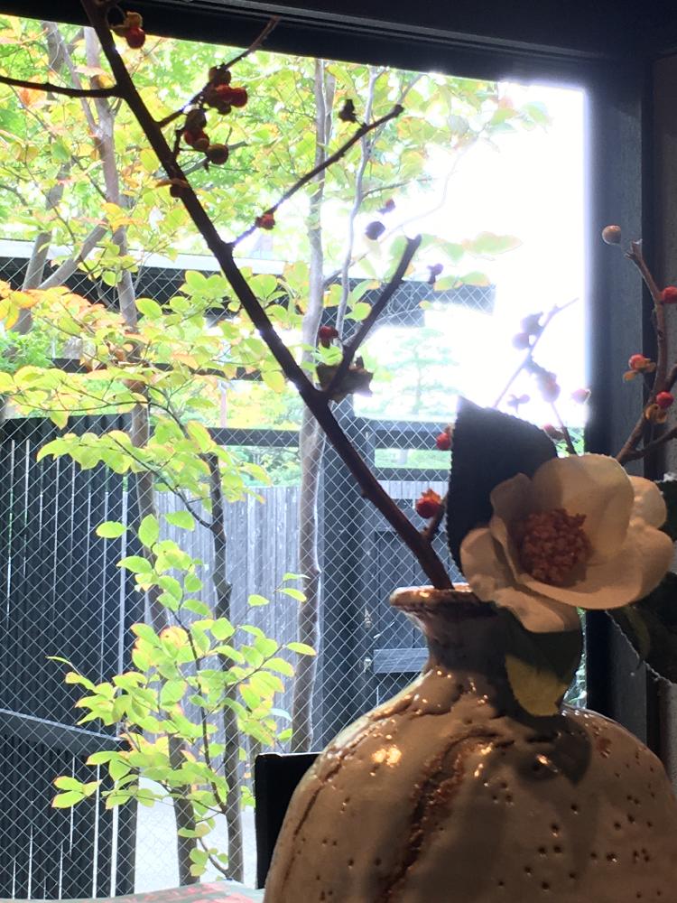 お出かけ先の画像 by cokeさん | お出かけ先と植物のある暮らしとリラックスとありがとうと紅葉(こうよう)と新潟