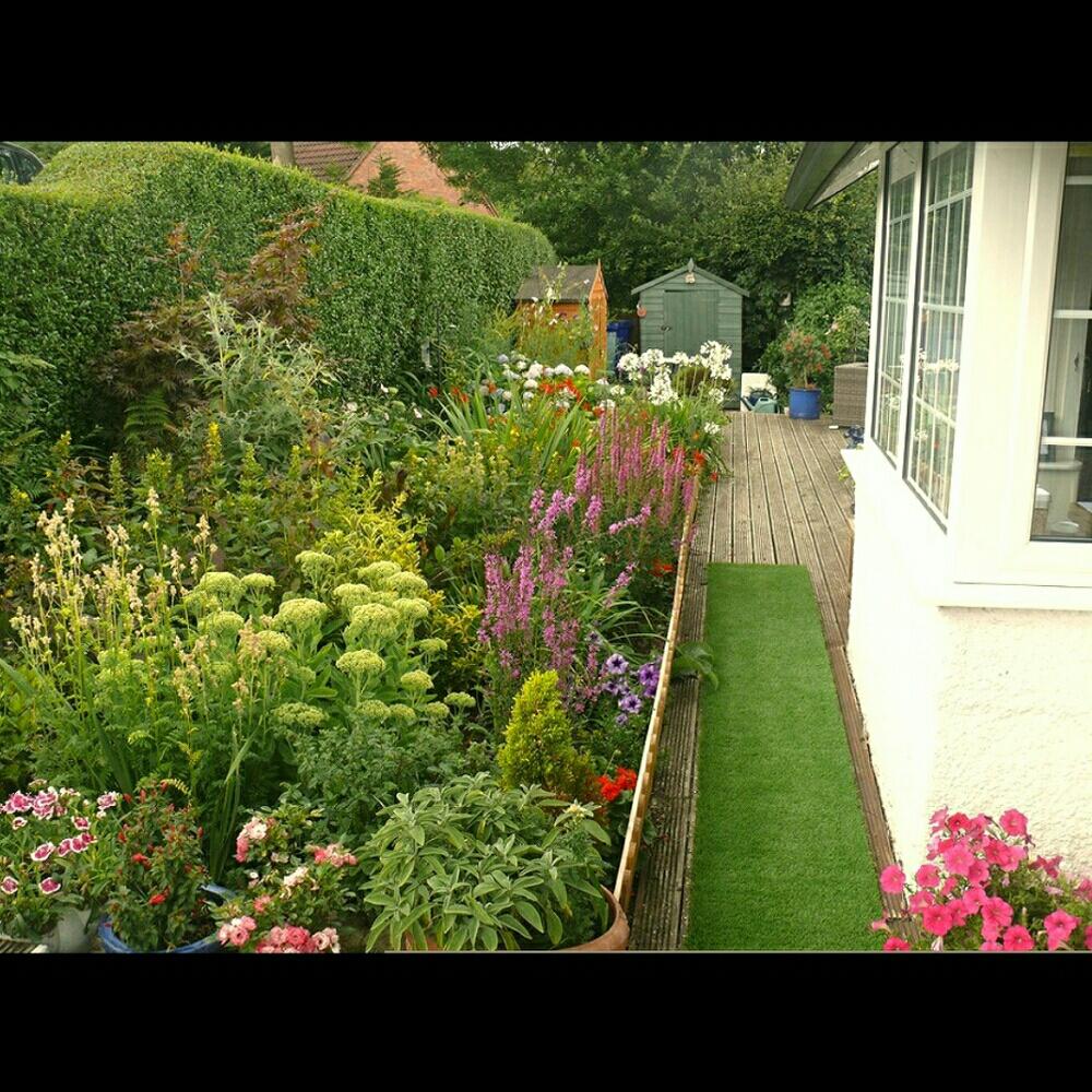 お出かけ先の画像 by ⭐CB1⭐さん | お出かけ先と花のある暮らしと植物と言えば・・・とfrom British Gentle?man