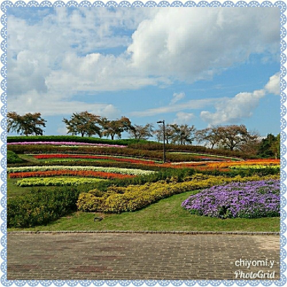 お出かけ先の画像 by chiyomi.yさん | お出かけ先とお花見日和とGS映えと癒されると馬見丘陵公園と大好きな風景と北葛城郡