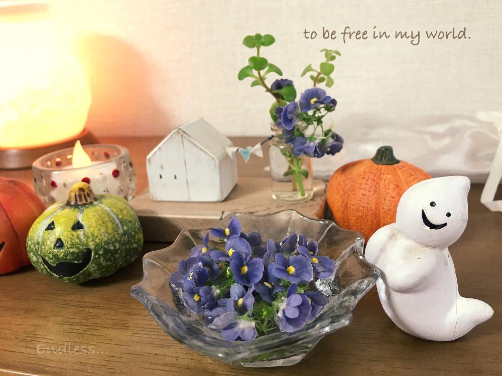バルコニー/ベランダの画像 by ✿ natu. ✿さん | バルコニー/ベランダとHappy Halloween♬と大切に…と優しい香りと愉快に暮らす♬とあき♬とガラス細工…と笑顔が一番と癒しの場所と花のある暮らしとひとりごととあのね…と夜勤明け♬と元気♬