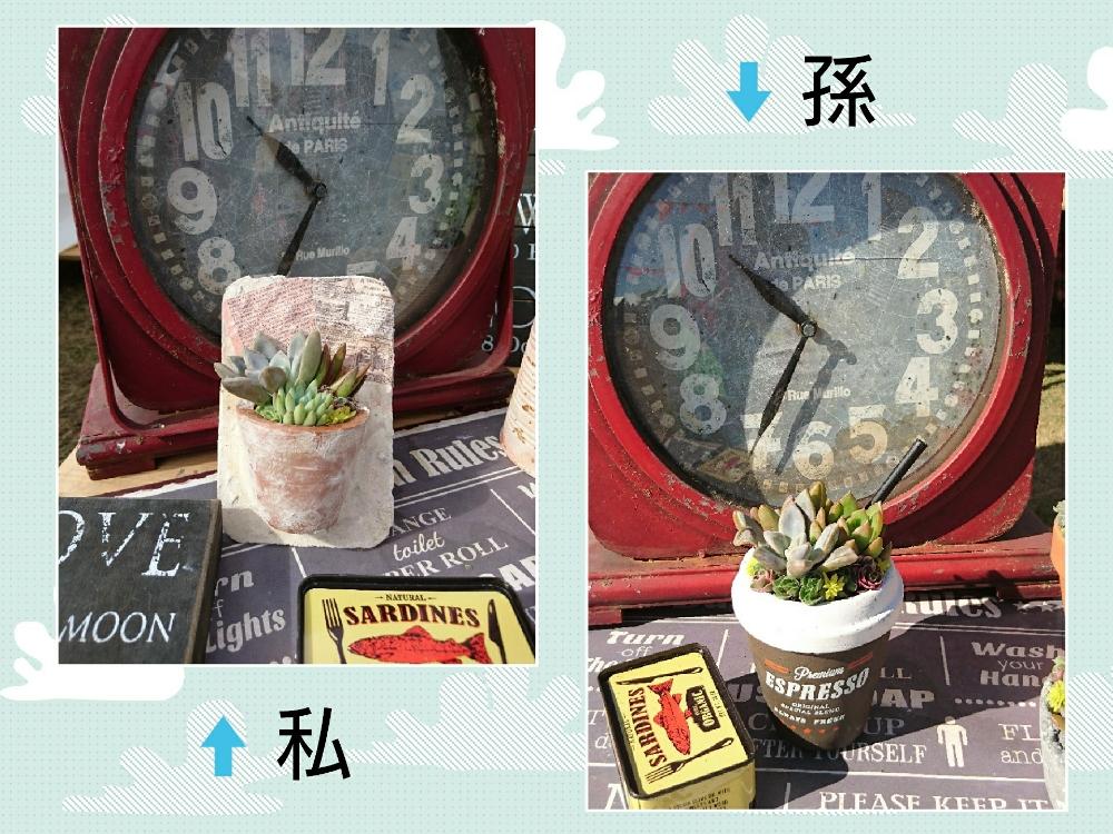 お出かけ先の画像 by エルさん | お出かけ先とHTCと楽しい♬.*゚と多肉大好きと多肉植物寄せ植えと多肉のある暮らしとHTC No.178とロハスフェスタ万博とbeedama とworkshopと万博ロハスとネルソル使ってます!