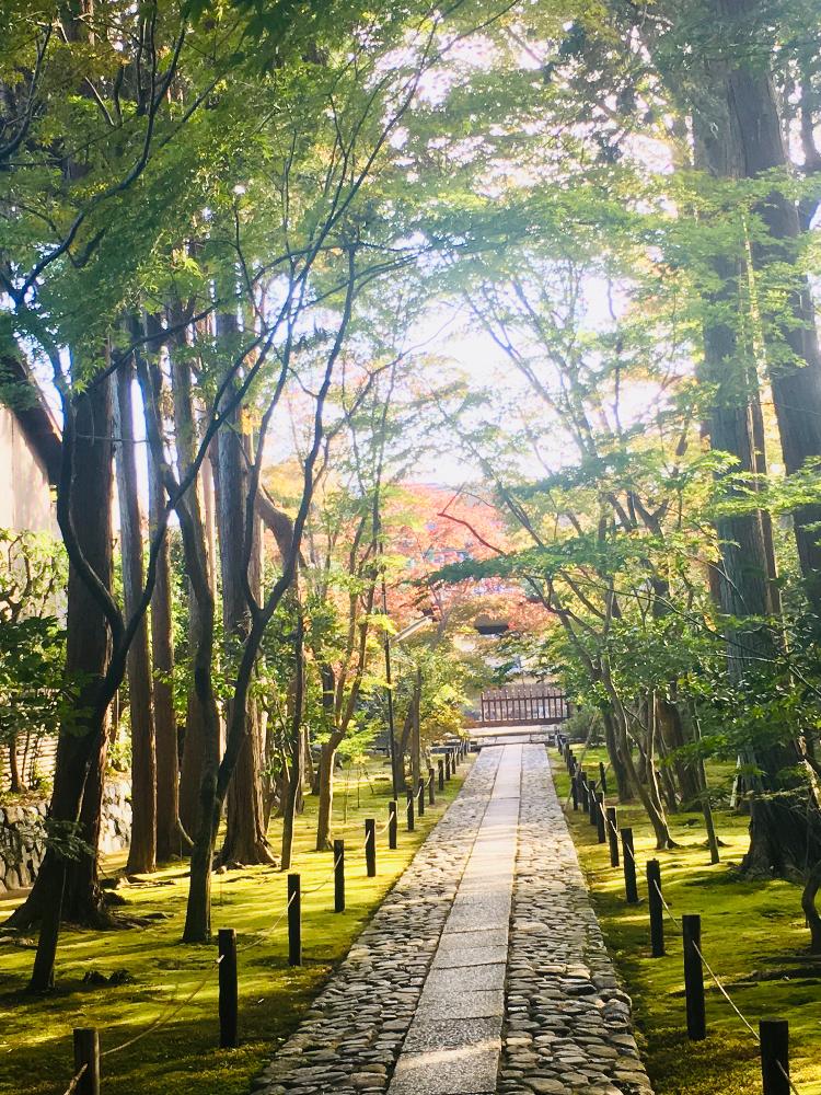 お出かけ先の画像 by ピコさん | お出かけ先と秋の訪れとGS映えと美しい♡と紅葉(こうよう)と花のある暮らしと嵐山とボタニカルスポット2018秋