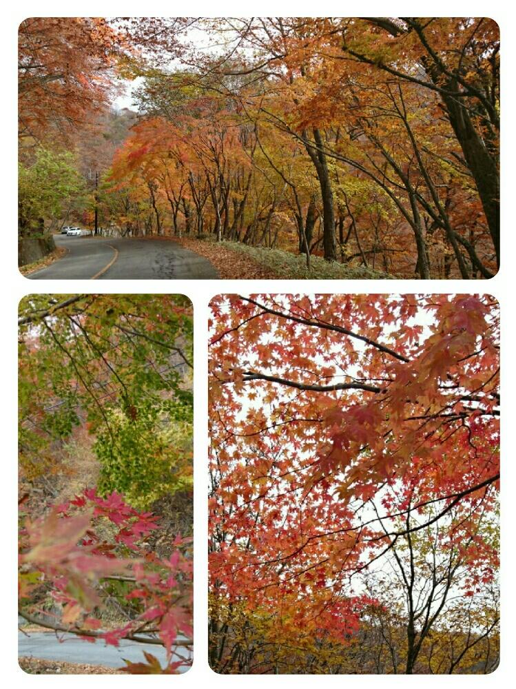 お出かけ先の画像 by さちべさん | お出かけ先と紅葉狩りと家族一緒にとこころ☆と那須塩原