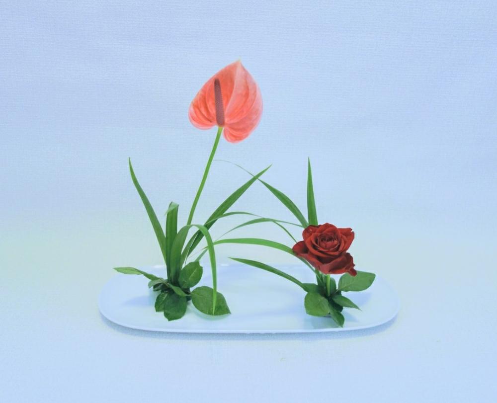 部屋の画像 by 野ニンさん | 部屋と花のある暮らしとGS映え