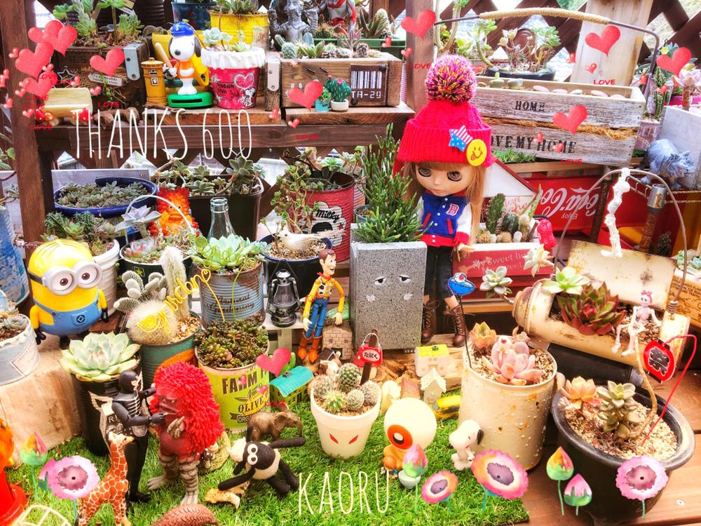 テラスの画像 by BAKECAFE nicheさん | テラスとサボテンとレッドベリーと多肉植物の寄植えとHTCとありがとう♡と深まる秋とオヤジとBAKECAFE nicheと三日月ちゃん素敵便と目玉オヤジ集合とHTC広報部長と棘棘会と全国オヤジ連合会