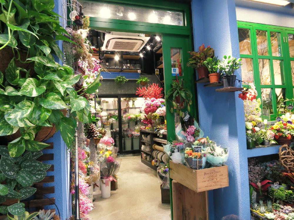 お出かけ先の画像 by muuufkrさん | お出かけ先と多肉植物とサボテン科と観葉植物と癒しとGS映えとGS日和とno green no lifeとボタニカルスポット2018秋と美しいと多肉植物とサボテンと癒しの場所と休日のひと時と花のある暮らしとかわいいな♡とベランダーと癒しのひと時
