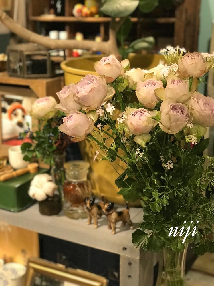 部屋の画像 by nijiさん | 部屋とお供えアレンジメントと植物のある暮らしと多肉以外の植物とJUNK Gardenと植物オタクとアニの花とjunkとno green no lifeと植中毒とペットのお供えとタニラーとアニちゃんのお花と花のある暮らしと切り花とrose