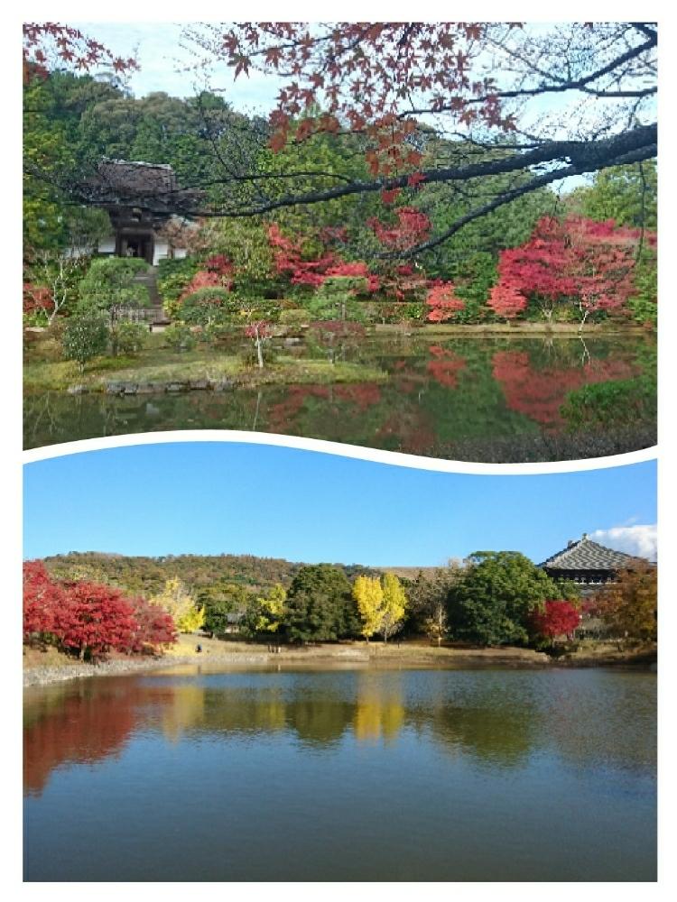 お出かけ先の画像 by ロンさん | お出かけ先と紅葉写真と奈良と奈良シリーズ
