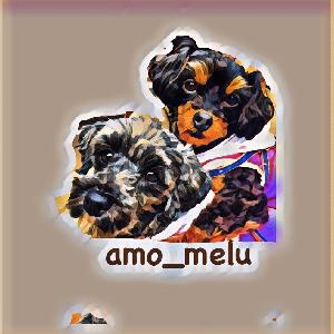 amo_melu