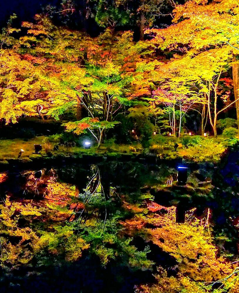 お出かけ先の画像 by Kumachanさん | お出かけ先とHTCとキュンキュン乙女倶楽部と日本三大景勝地松島と一度はおいでと災害に負けないで✊と12月生まれ♪と頑張れ♡えっこと宮城よいとこと頑張れ♡ばぁばさんと円通院 凄い!