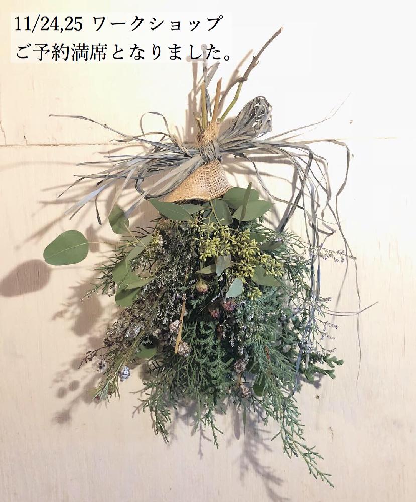 の画像 by Royal Gardener's Clubさん | 観葉植物と植物のある暮らしとボタニカルライフと園芸店とスワッグとガーデニングショップと緑のある暮らしと球根と秋植え球根とガーデニングツールとガーデニングと珍奇植物と花のある暮らしと奥沢と自由が丘とワークショップ とクリスマスアレンジとインテリアグリーンとグリーン