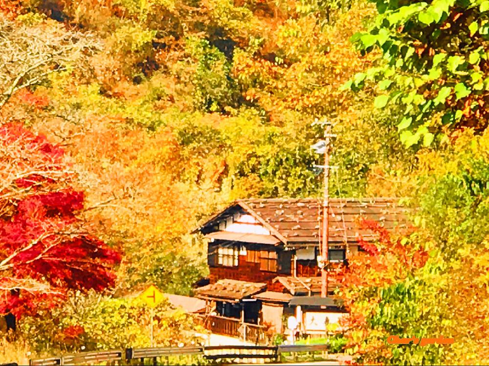 お出かけ先の画像 by チャーさん | お出かけ先と季節を楽しむと木曽路と中山道と紅葉(こうよう)と長野県と古い町並みと妻籠宿と宿場町とチャーさんのリポートとチャーさんの 里山歩きと里山の風景とチャーさんのアレンジ物語と季節の 便りと里山歩きとチャーさんの季節のアレンジと里山