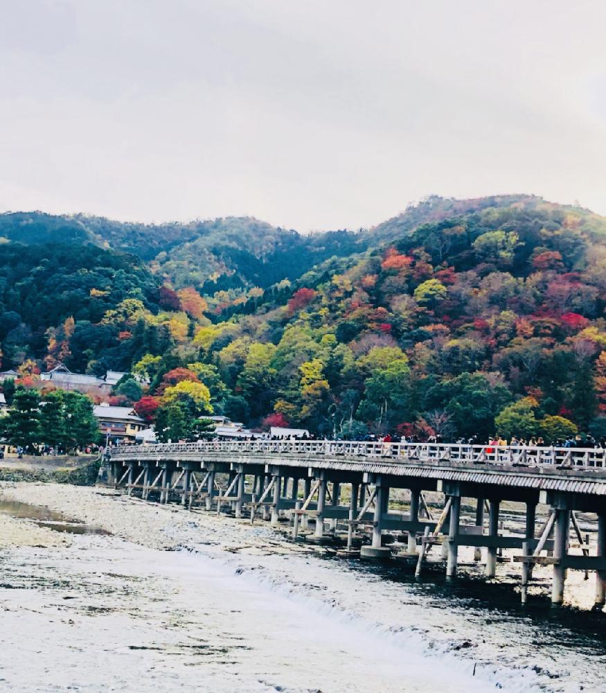 お出かけ先の画像 by らりるん♪さん | お出かけ先と景色とボタニカルスポット2018秋と紅葉(こうよう)と京都と秋の風景ともみじ紅葉と嵐山渡月橋と嵐山