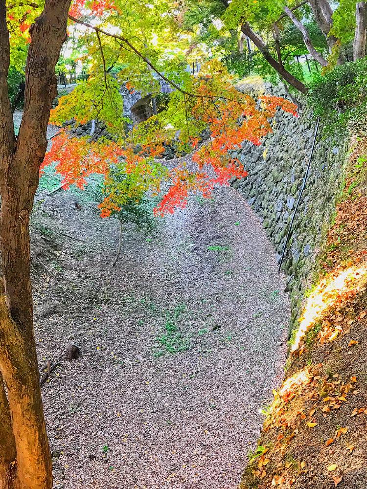 お出かけ先の画像 by チャーさん | お出かけ先と愛知県と季節を楽しむとお城と徳川家康と公園とボタニカルスポット2018秋と城下町と紅葉(こうよう)と季節の便りと愛知県岡崎市とチャーさんのリポートとチャーさんの 里山歩き