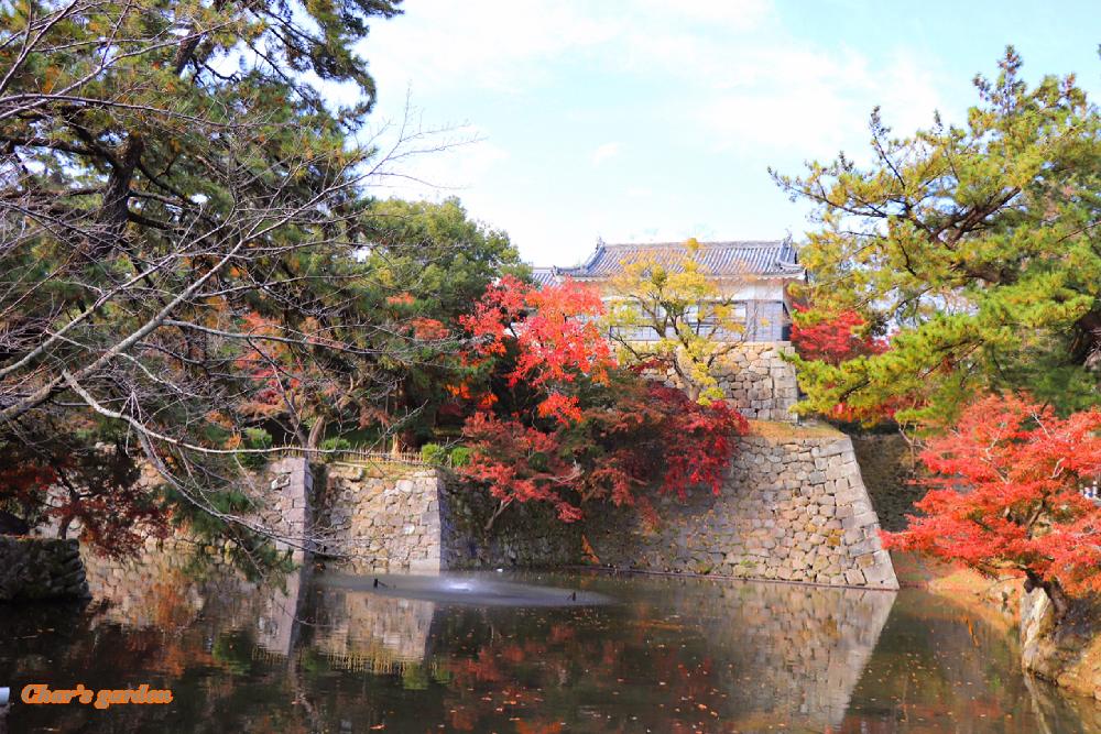 お出かけ先の画像 by チャーさん | お出かけ先と愛知県と季節を楽しむとお城と徳川家康と公園とボタニカルスポット2018秋と紅葉(こうよう)と季節の便りと愛知県岡崎市とチャーさんのリポートとチャーさんの 里山歩き