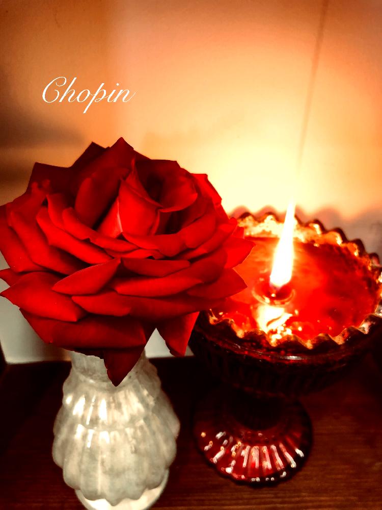 インテリアの画像 by Chopin(ショパン)さん | インテリアとばら バラ 薔薇と真っ赤なバラと薔薇に魅せられてとキャンドルとキャンドルナイトとロウソクとムーディーと情熱の赤と真っ赤と情熱の薔薇と薔薇♪とばら 薔薇 バラとバラ・ミニバラとiPhone撮影と薔薇の花とインテリア小物とインテリア雑貨とグリーンインテリアと『ライトアップグリーン』フォトコンテスト 2018