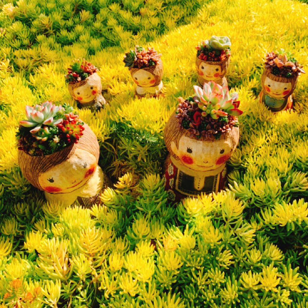 の画像 by non⚘さん | セダム属とちまちまとちまちま寄せ植えとセダム寄植えとセダムセダムと多肉女子とちまちま多肉とちまちま寄せ