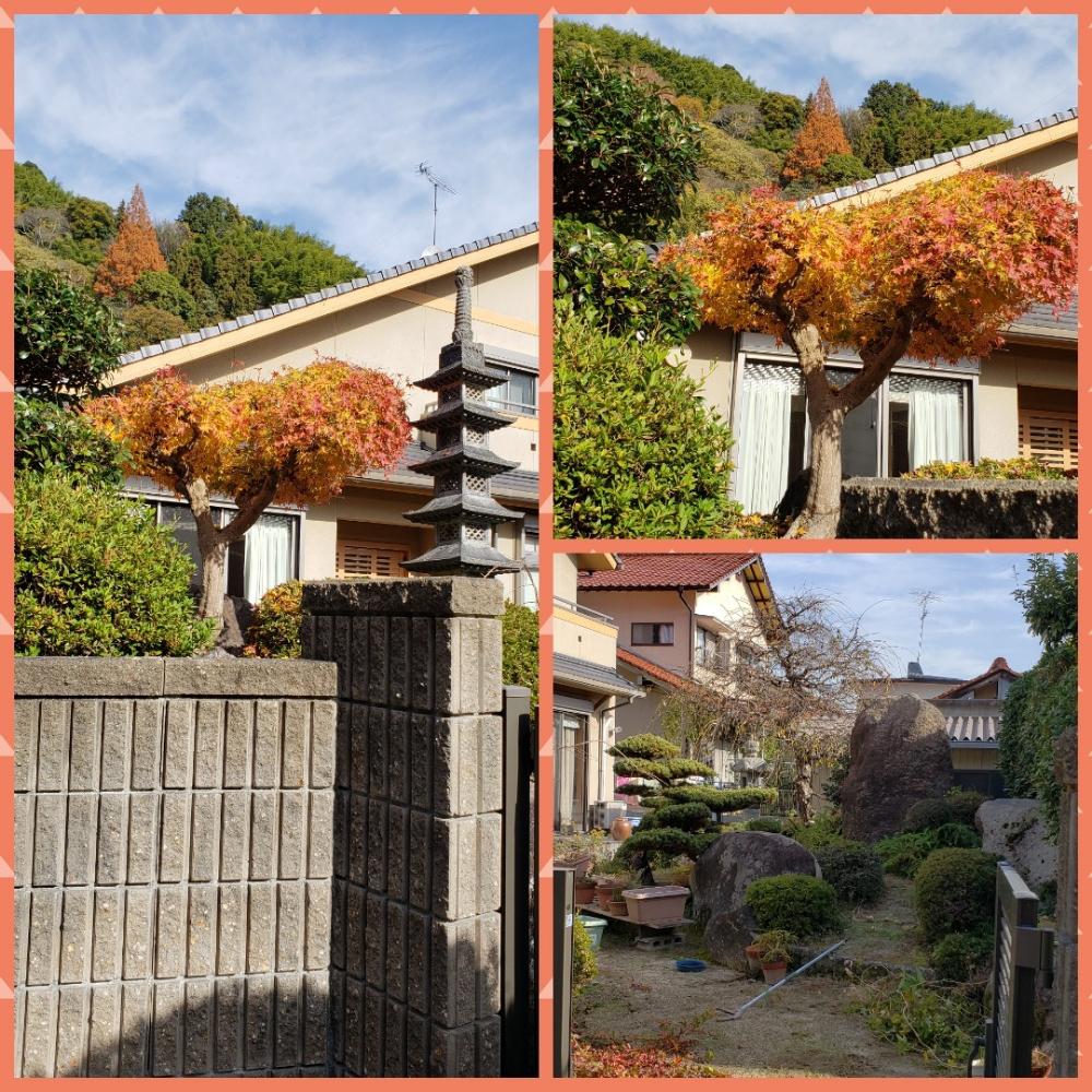 お出かけ先の画像 by 天空のバラの五線譜さん | お出かけ先とご近所さんと日本庭園と紅葉(こうよう)と色彩の心と里山のある暮らし