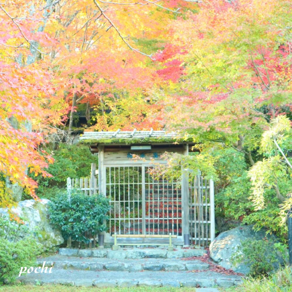 お出かけ先の画像 by ポチ音さん | お出かけ先とボタニカルスポット2018秋と京都市と京都と京都嵯峨野と秋の風景と嵐山と平成最後の秋