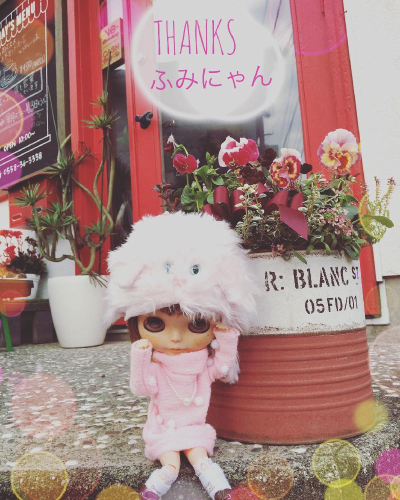 玄関の画像 by BAKECAFE nicheさん | 玄関とパンジー・ビオラとHTCとHTC広報部長とふみにゃんからの素敵便とありがとう♡