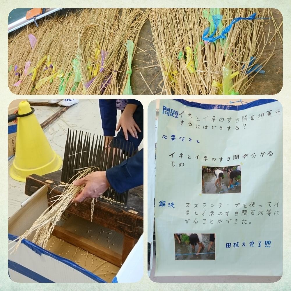 お出かけ先の画像 by non-sugarさん | お出かけ先と餅米と発表会と小学校と喜寿と収穫とGS映えとGS日和